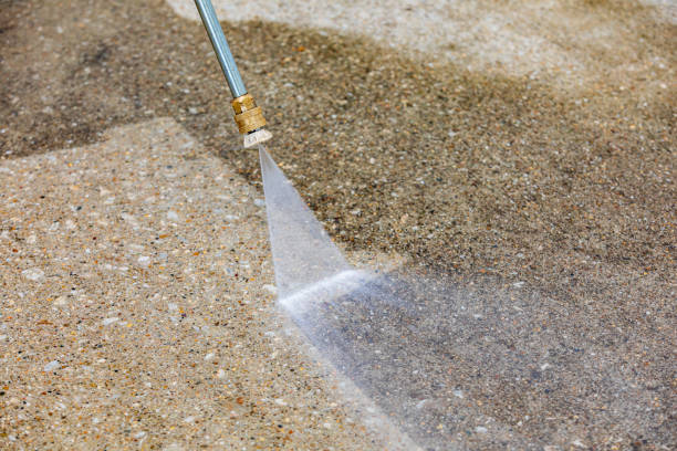 Animal Enclosure Cleaning in Ash Grove, MO